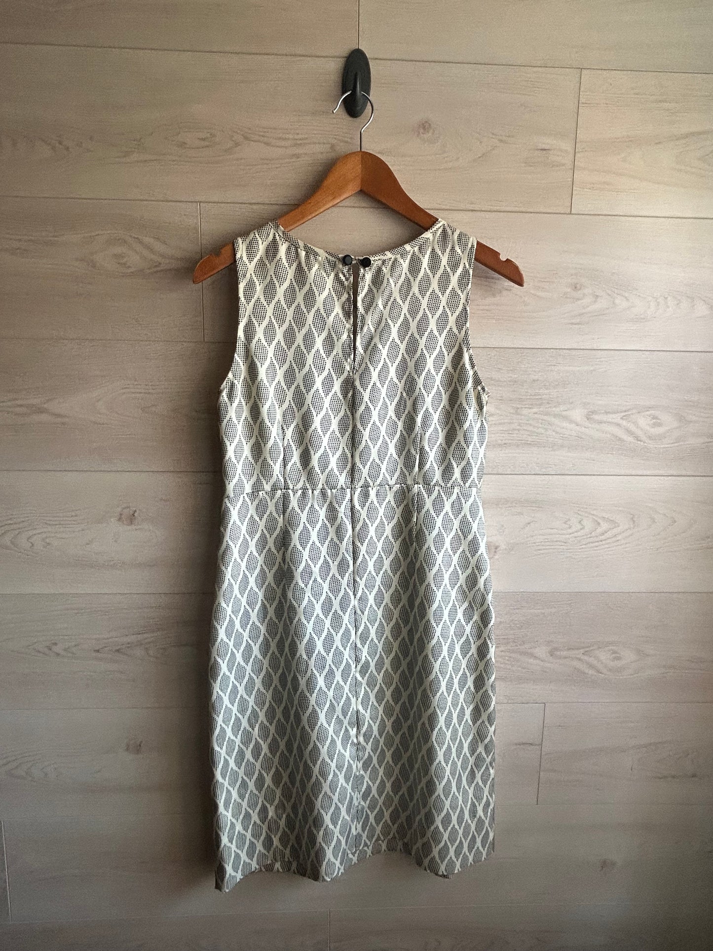 Leifsdottir Anthropologie Silk Pleated Dress