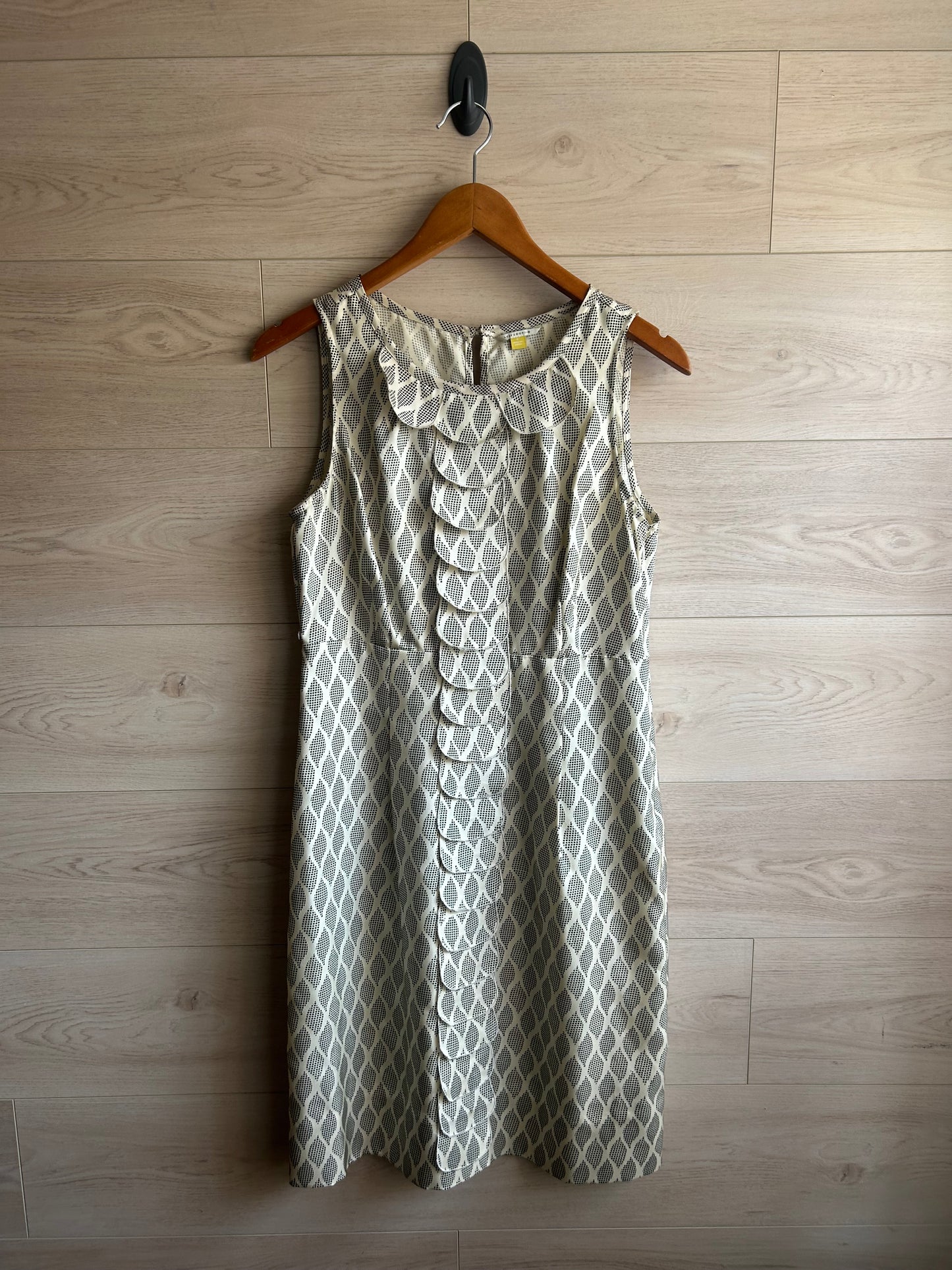 Leifsdottir Anthropologie Silk Pleated Dress