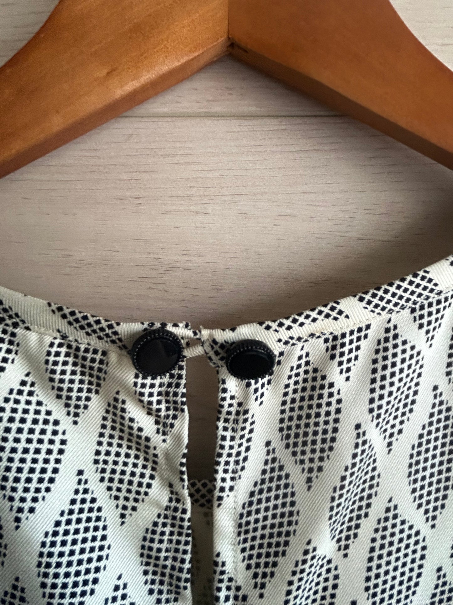 Leifsdottir Anthropologie Silk Pleated Dress
